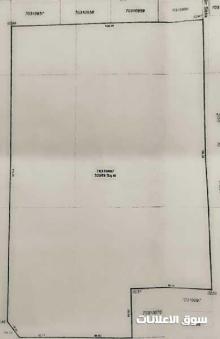 ارض كبيره مميزه للبيع في سميسمه